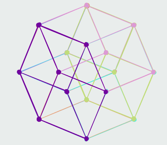 Animation showing each individual cube within the B4 Coxeter plane projection of the tesseract